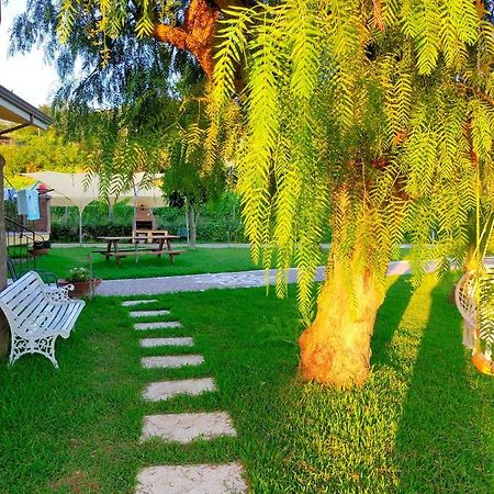 Bed and Breakfast Al Boschetto Melizzano Zewnętrze zdjęcie