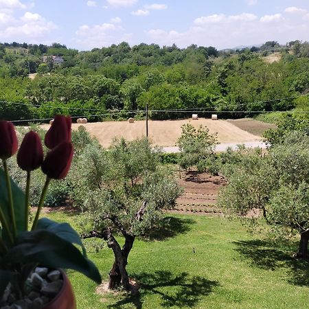 Bed and Breakfast Al Boschetto Melizzano Zewnętrze zdjęcie