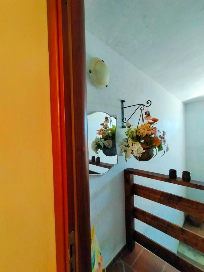 Bed and Breakfast Al Boschetto Melizzano Zewnętrze zdjęcie
