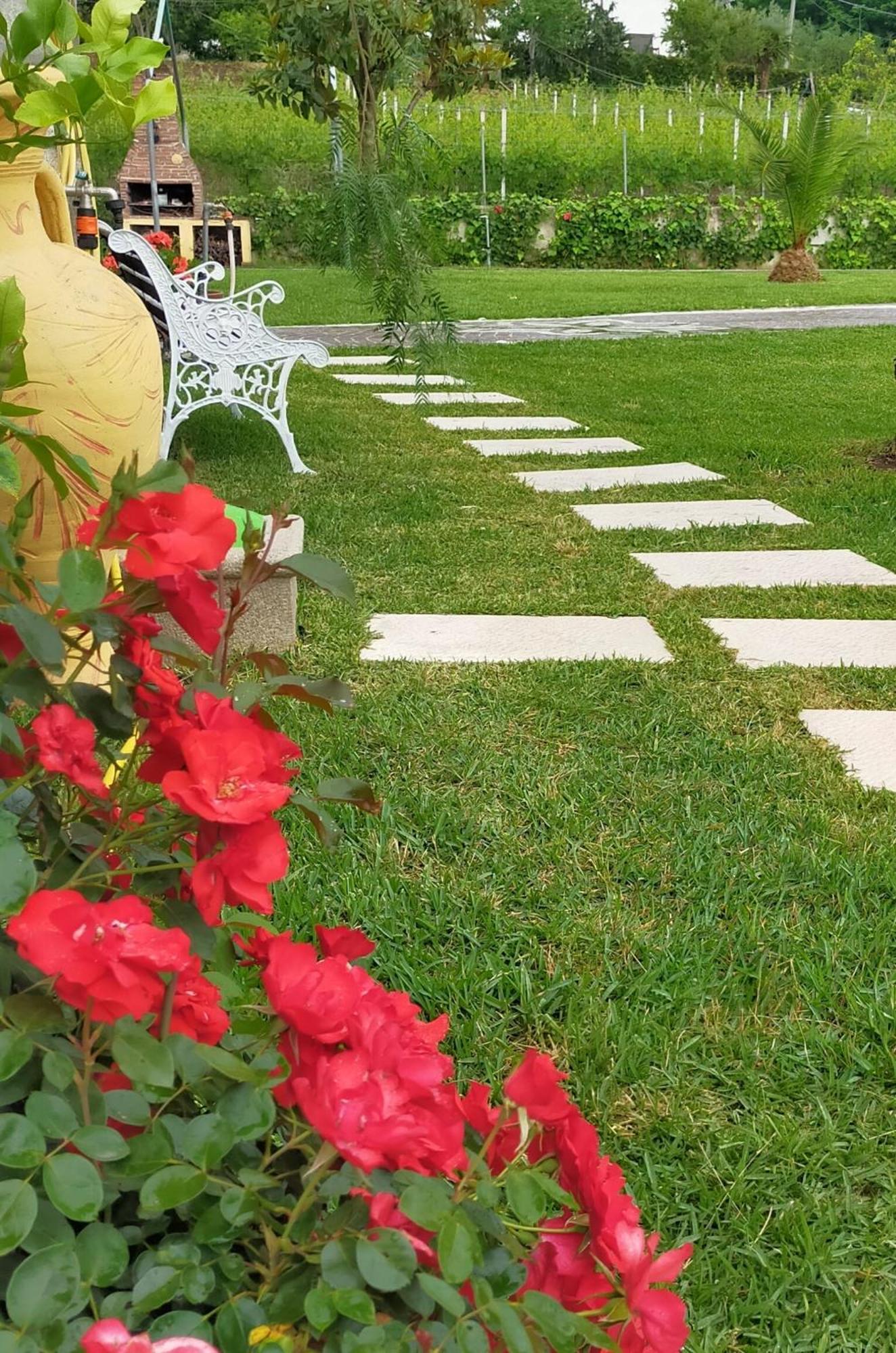Bed and Breakfast Al Boschetto Melizzano Zewnętrze zdjęcie
