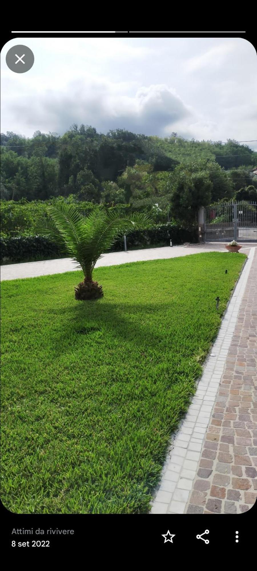 Bed and Breakfast Al Boschetto Melizzano Zewnętrze zdjęcie
