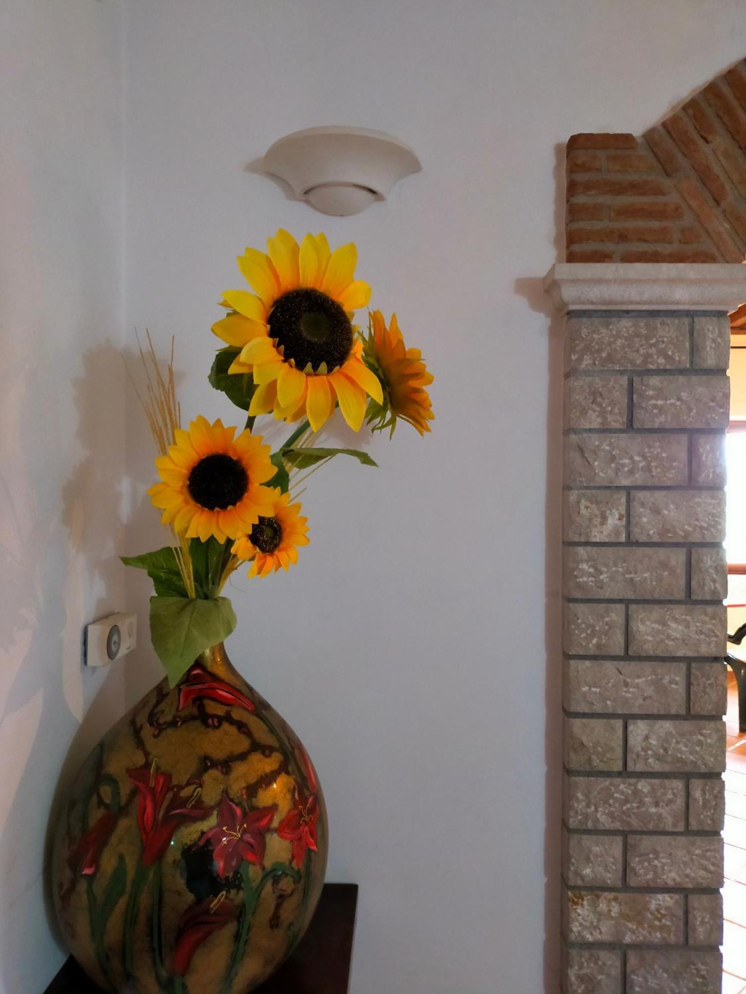Bed and Breakfast Al Boschetto Melizzano Zewnętrze zdjęcie