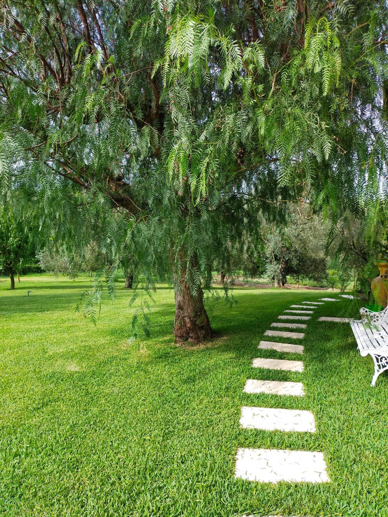 Bed and Breakfast Al Boschetto Melizzano Zewnętrze zdjęcie
