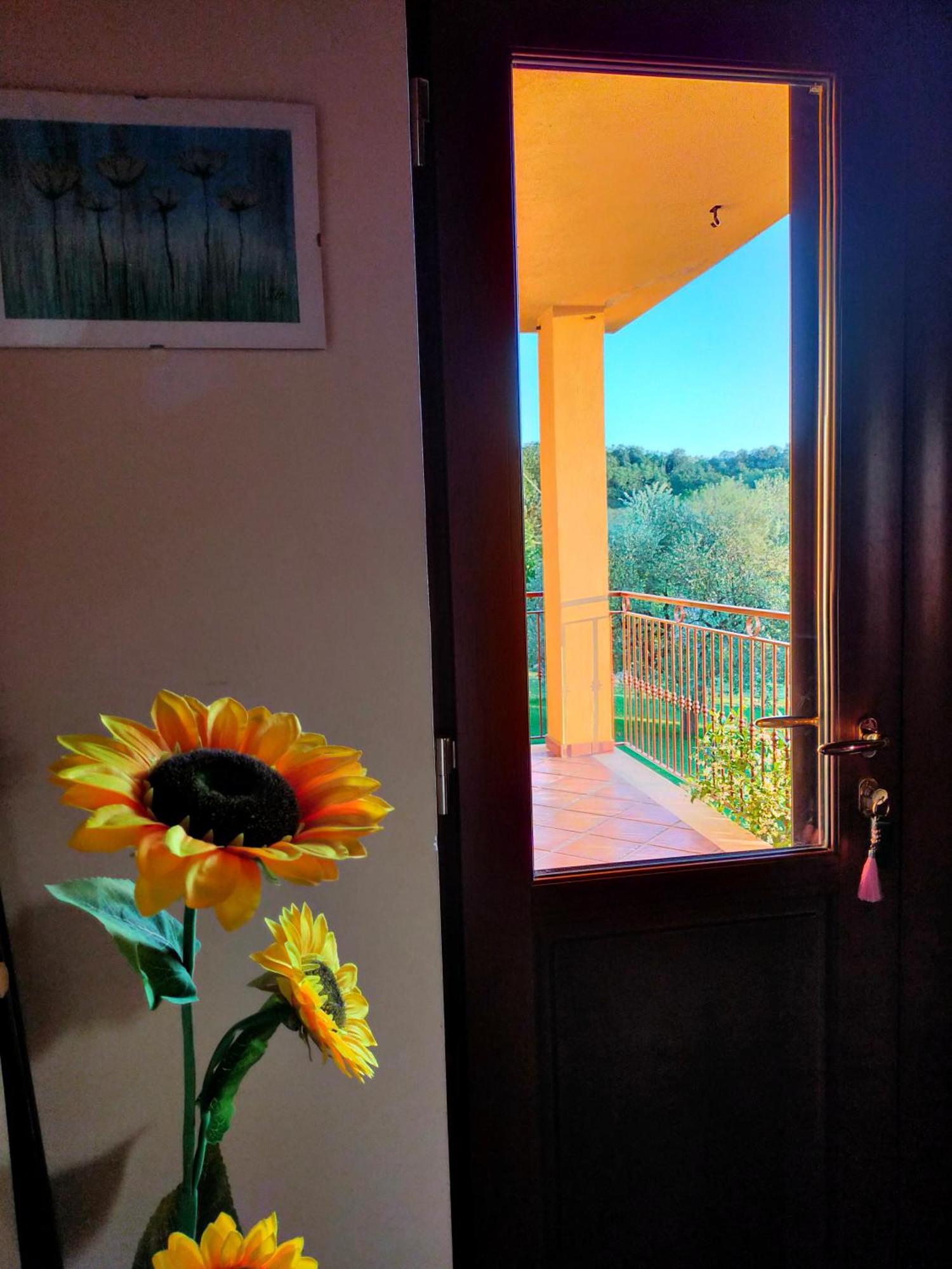Bed and Breakfast Al Boschetto Melizzano Zewnętrze zdjęcie